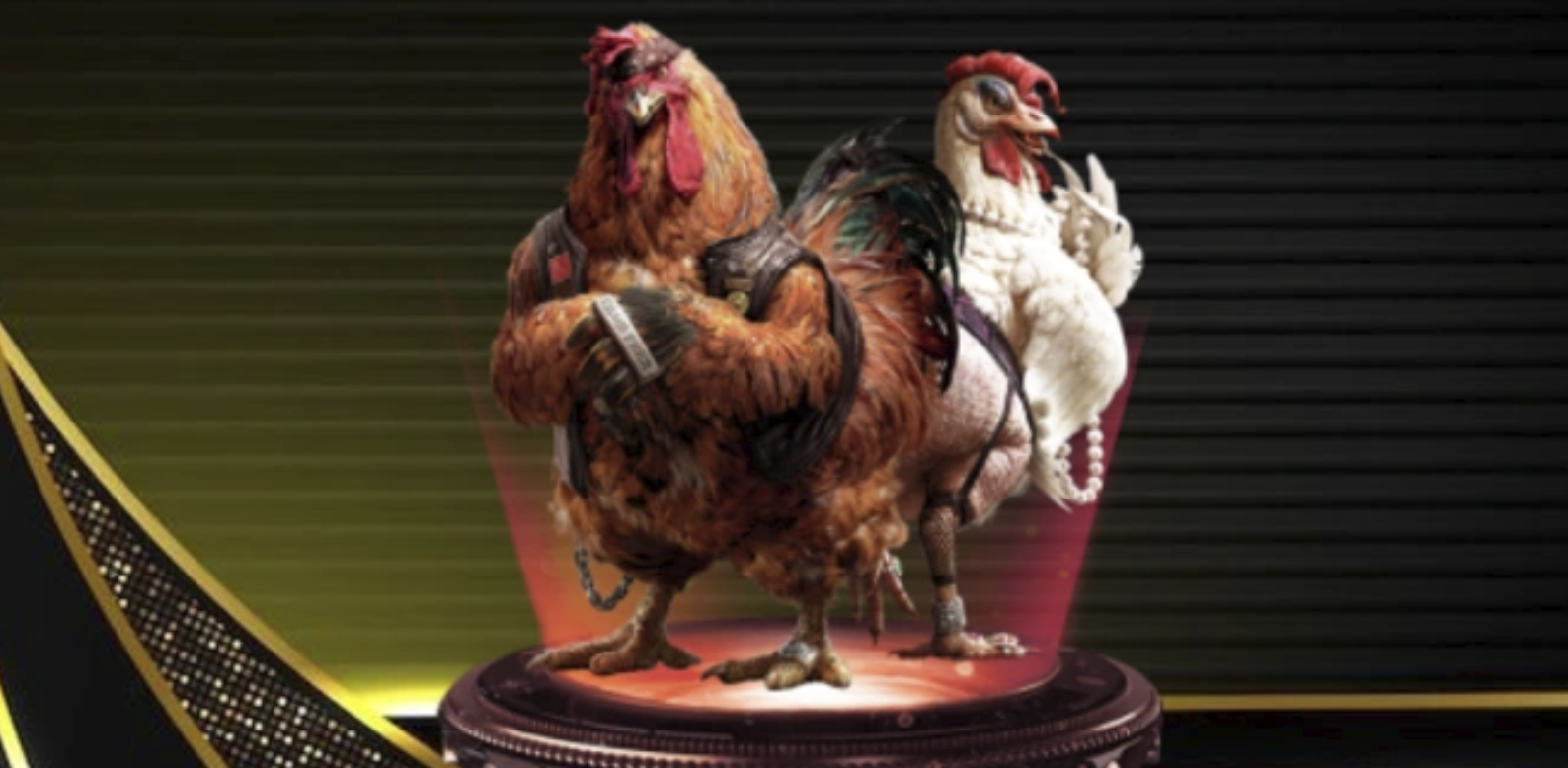 Nắm vững luật lệ đá gà miền Tây truyền thống