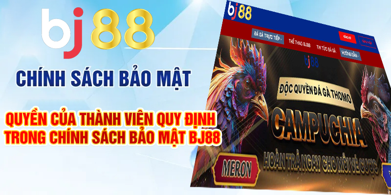 Quyền của thành viên BJ88