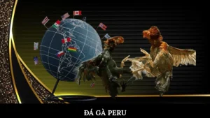 Đá gà Peru