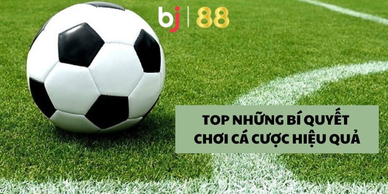 Top những bí quyết chơi cá cược hiệu quả