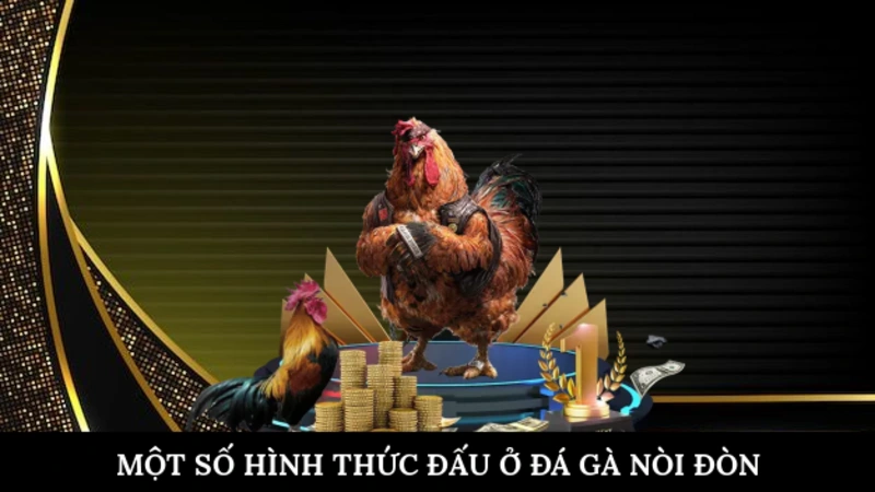Một số hình thức đấu ở đá gà nòi đòn