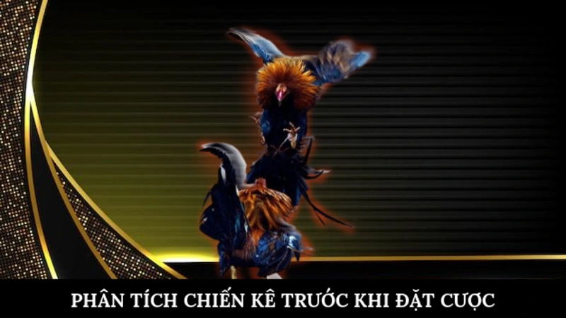 Phân tích chiến kê trước khi đặt cược