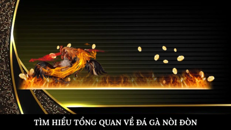Tìm hiểu tổng quan về đá gà nòi đòn